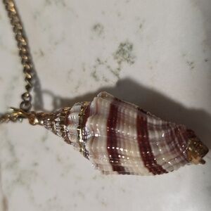Elegant Conch Shell Pendant Necklace